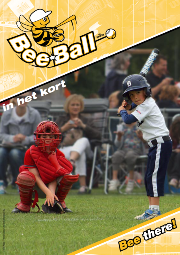 In het kort   beeball