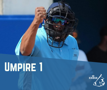 Webshop producten 24